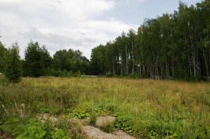 ������ ��������� ������� �� 21 �� �� ���� ������������� ����� (���� �3)