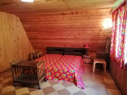 ������ ��������� ������� � ����������� (���� �19)