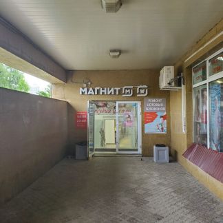       ( 3)