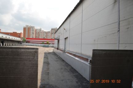    ( 2)