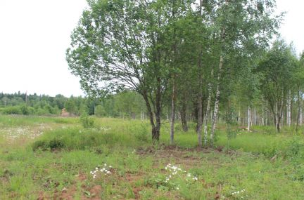 ������ ��������� ������� �� 55 �� �� ���� ������� ���������� (���� �4)