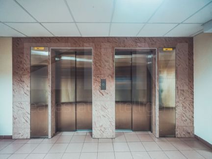 ����� ���� ������������ ��. 3 ���. 13 (���� �13)