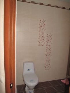 ������ ��� �� 49 �� �� ���� �. ���������� ����� (���� �6)