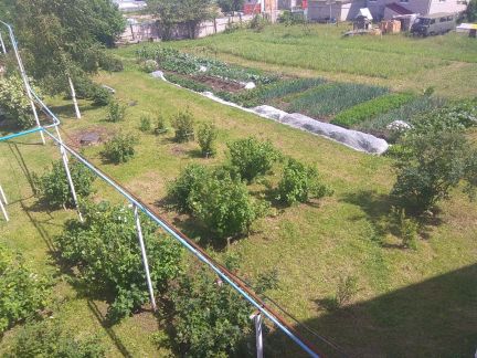 ������ ��� � �. ������ (���� �6)