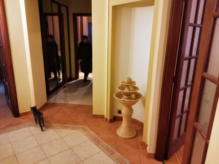 ������ �������� �������� �������� 19 (���� �2)