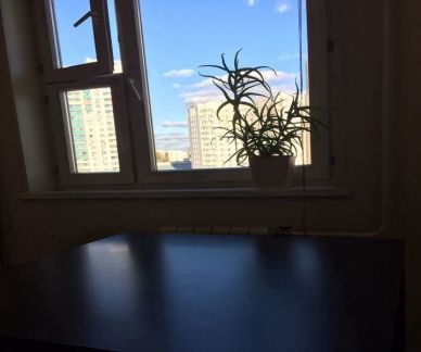     ( 15)