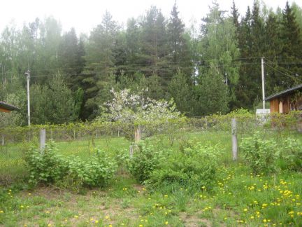 ������ ��������� ������� �� 70 �� �� ���� (���� �18)