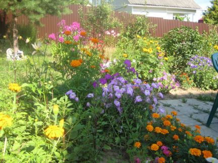 ������ ��������� ������� �� 70 �� �� ���� (���� �17)