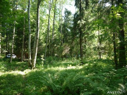 ������ ��������� ������� �������� (���� �3)