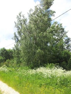 ������ ��������� ������� ��� ������-2 (���� �3)