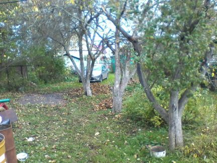 ������ ���� �� 110 �� �� ���� (���� �10)