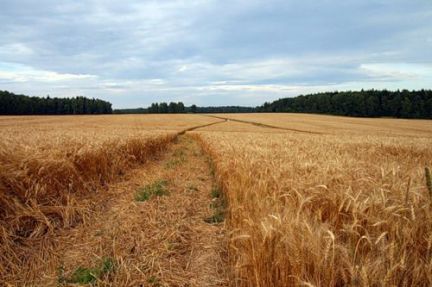 ������ ��������� ������� �� 60 �� �� ���� ������� �������� (���� �4)