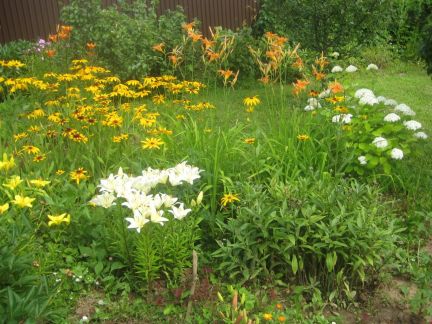 ������ ��������� ������� �� 70 �� �� ���� (���� �14)