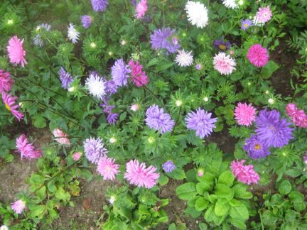 ������ ��������� ������� �� 70 �� �� ���� (���� �13)