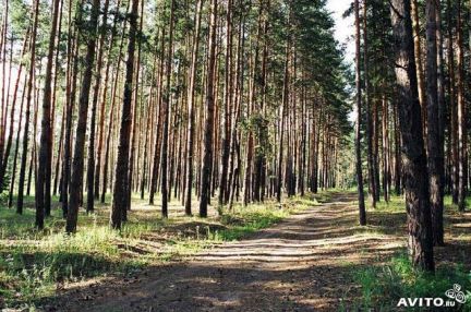 ������ ��������� ������� �� 65 �� �� ���� ������������� ����� 30 (���� �4)