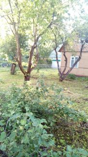 ������ ��������� ������� �����������.���. ��������. (���� �2)