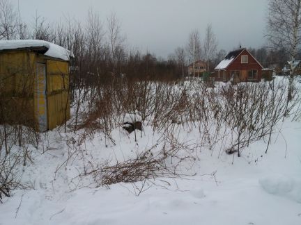 ������ ��������� ������� �. ��������� (���� �4)