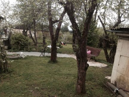 ������ ��� �� 49 �� �� ���� ���������� ����-������������� (���� �3)