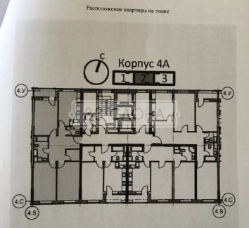 �� ������ ��� ����� (���� �7)