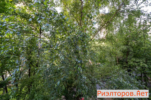 купить квартиру профсоюзная улица 98к1 (фото №11) купить квартиру профсоюзная улица 98к1 (фото №11)