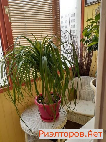 ������ �������� �� �������� �������� 45 (���� �9)
