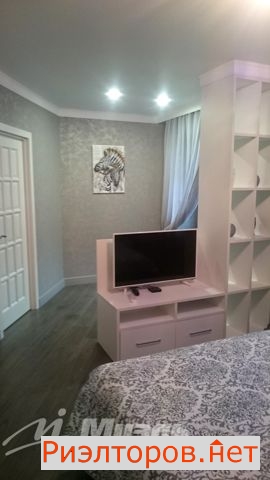 ����� �������� ����� �������� 81 (���� �4)