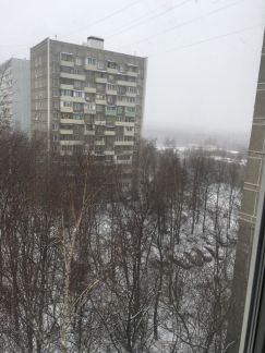 ������ �������� ������������ ����� 24�2 ������� 1 (���� �16)