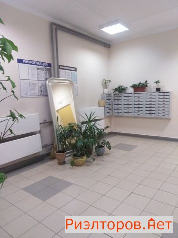 �� ������ ������ (���� �19)