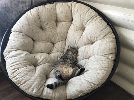 ����� ��������� ��� �������������� (���� �9)