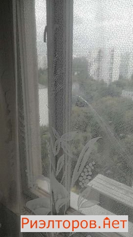 ����� �������� ����� ������� �������� 11 (���� �31)
