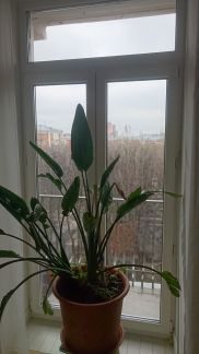 ������ �������� ����� ���������� 6�4 (���� �4)