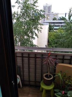 ������ �������� ���������� ����� 30 (���� �8)