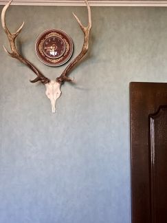 ������ �������� ����������� ����� 46 (���� �12)