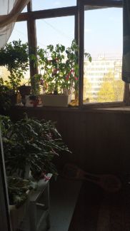 ������ �������� ����������� ����� 3� (���� �10)
