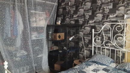 ������ �������� �������� ����� 2�1 (���� �7)