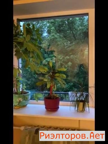 ����� �������� (���� �12)