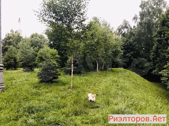 ������ �������� ���������� ����� 14�2 (���� �12)