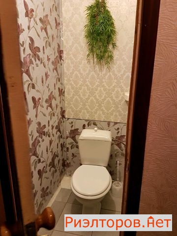 ����� �������� ����� �������� 24 (���� �10)
