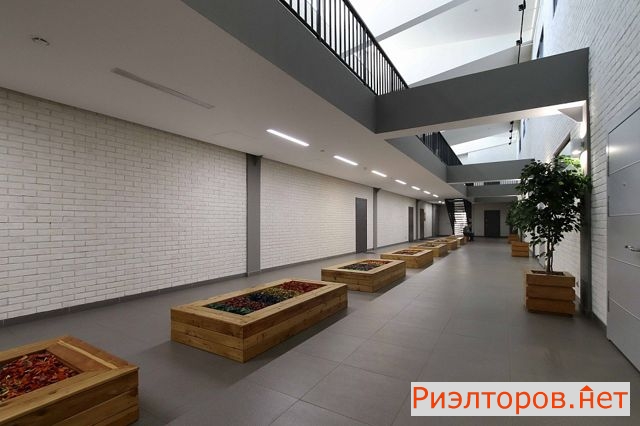 �� studio 8 ����� (���� �20)