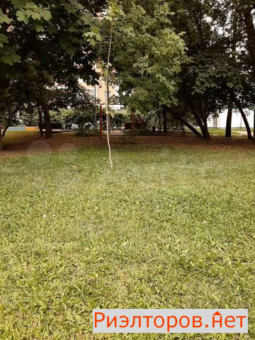 ����� �������� ��������� ������������ ����� 24 (���� �22)