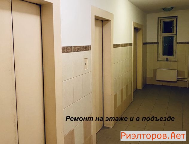 ������ ������ �������� ����� ���������� (���� �20)