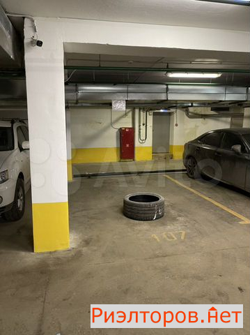 ������ ����������� ����� ����� ��������� 81 (���� �4)