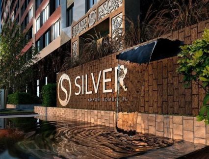 �� silver ����������� ���� (���� �4)