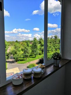 ������ �������� ����� ��������� ������������� 35�2 (���� �5)