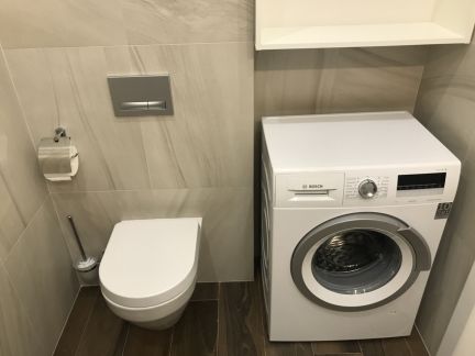 �� only ����� �������� (���� �12)
