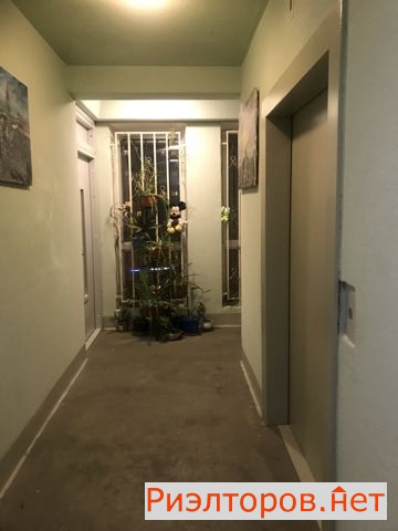 ����� �������� ������� ������ ������ ����� �������� ������ ���� (���� �11)