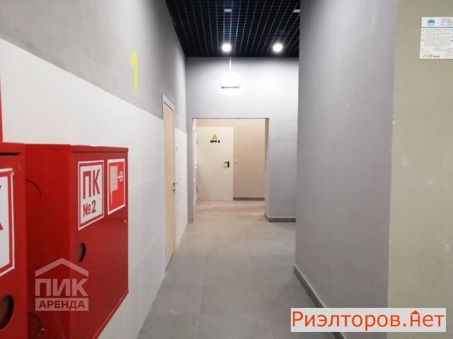 ������� ��������� ������ ����� �������� (���� �11)