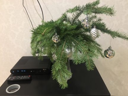 ����� �������� ��������� ������������� ����� 22�1 (���� �17)