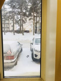 ����� ��������� ���������� ���������� ��������� ����� (���� �8)