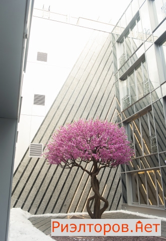 �� ����������� ��� ������ (���� �12)